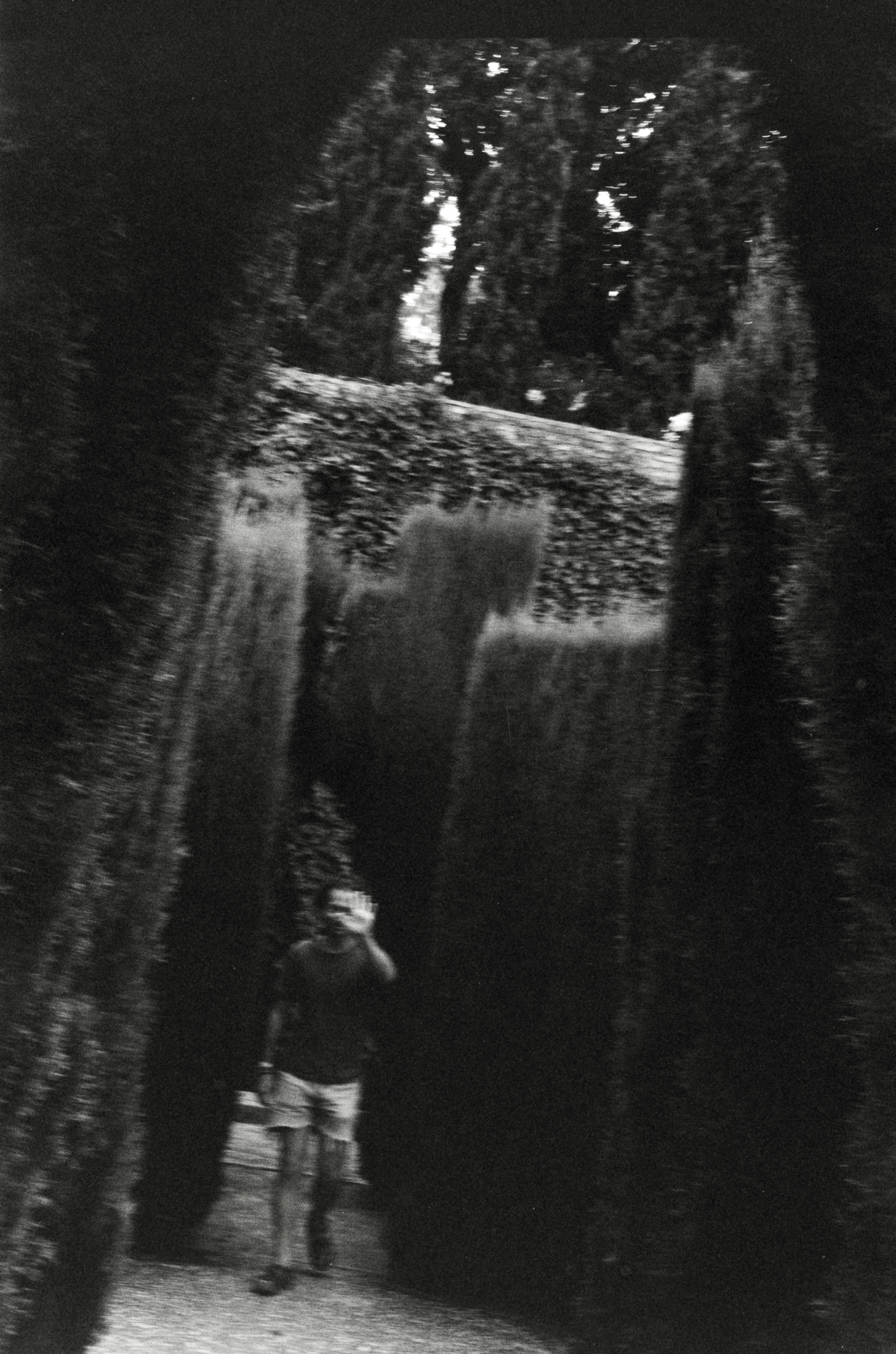 AHP F2001 07 002 sc240901 img01 NLP